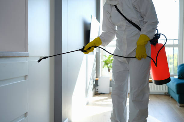 Best Post-Flood Mold Remediation in Decherd, TN